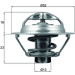 Thermostateinsatz mit Dichtung | RENAULT Clio/Megane 05 | TX 175 95D Thermostateinsatz mit Dichtung | RENAULT Clio/Megane 05 | TX 175 95D