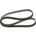 Keilrippenriemen | VW,HONDA,FORD,MERCEDES | 1987947995 Keilrippenriemen | VW,HONDA,FORD,MERCEDES | 1987947995