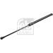 Gasfeder, Koffer-/Laderaum | 23388 Gasfeder, Koffer-/Laderaum | 23388