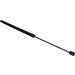 Gasfeder, Hinten L=622 580N | CITROEN Berlingo 04/08 | 895089 Gasfeder, Hinten L=622 580N | CITROEN Berlingo 04/08 | 895089