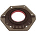 Wellendichtring Vorne Vorne für Fiat 2.5/2.8 Original | 500043128 Wellendichtring Vorne Vorne für Fiat 2.5/2.8 Original | 500043128