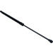 Gasfeder, Koffer-/Laderaum | 134015 Gasfeder, Koffer-/Laderaum | 134015