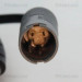 Sensor, Raddrehzahl | 818011101 Sensor, Raddrehzahl | 818011101