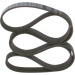 Keilrippenriemen | TOYOTA,RENAULT,OPEL,NISSAN | 1987947556 Keilrippenriemen | TOYOTA,RENAULT,OPEL,NISSAN | 1987947556