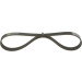 1 987 946 006 Keilrippenriemen