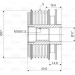 Generatorfreilauf | 588043 Generatorfreilauf | 588043