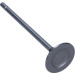 Einlassventil Renault 2.0 16V | PREN020-S-0-0 Einlassventil Renault 2.0 16V | PREN020-S-0-0
