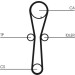 Zahnriemen | CT954 Zahnriemen | CT954