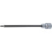 BGS Bit-Einsatz | Länge 200 mm | Antrieb Innenvierkant 12,5 mm (1/2"""") | T-Profil (für Torx) T25 | 9365 BGS Bit-Einsatz | Länge 200 mm | Antrieb Innenvierkant 12,5 mm (1/2"""") | T-Profil (für Torx) T25 | 9365