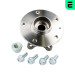 Radlagersatz | 802845 Radlagersatz | 802845