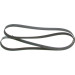 1 987 946 042 Keilrippenriemen 1 987 946 042 Keilrippenriemen