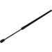 Gasfeder, Koffer-/Laderaum | 155564 Gasfeder, Koffer-/Laderaum | 155564