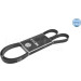 Keilrippenriemen 6Pk1663 | 500061663 Keilrippenriemen 6Pk1663 | 500061663