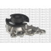PA 1160 Wasserpumpe | TOYOTA IQ (_J1_) 1.33 09 | PA1160 PA 1160 Wasserpumpe | TOYOTA IQ (_J1_) 1.33 09 | PA1160