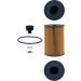 MAHLE Ölfilter | OX 353/7D MAHLE Ölfilter | OX 353/7D