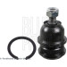 Gelenk - Radaufhängung Hyundai P. Accent -99/Coupe -00 | ADG08636 Gelenk - Radaufhängung Hyundai P. Accent -99/Coupe -00 | ADG08636
