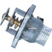 Thermostat, Kühlmittel | 725005 Thermostat, Kühlmittel | 725005