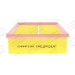 CHAMPION Luftfilter | CAF100741P