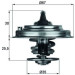 Thermostateinsatz mit Dichtung | AUDI A6/A8 94-05 | TX 34 82D Thermostateinsatz mit Dichtung | AUDI A6/A8 94-05 | TX 34 82D