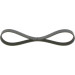 Keilrippenriemen FORD Fiesta Elastic 1987946141