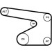Keilrippenriemensatz | 5PK1355K1 Keilrippenriemensatz | 5PK1355K1
