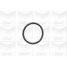 PA 430 Wasserpumpe | BMW 316,318 (E30,E36,E46) | PA430 PA 430 Wasserpumpe | BMW 316,318 (E30,E36,E46) | PA430