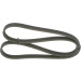 Keilrippenriemen | SEAT,VW | 1987946211 Keilrippenriemen | SEAT,VW | 1987946211