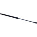 Gasfeder, Hinten L=534 575N | Renault Megane 16 | 998812 Gasfeder, Hinten L=534 575N | Renault Megane 16 | 998812