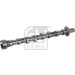 FEBI BILSTEIN Nockenwelle | 176294 FEBI BILSTEIN Nockenwelle | 176294