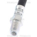 Bremsschlauch | 815025117 Bremsschlauch | 815025117