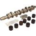 Satz-Nockenwelle (Welle, Tusters, Lager, Fett) | T2614KB Satz-Nockenwelle (Welle, Tusters, Lager, Fett) | T2614KB