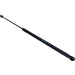 Gasfeder, Hinten L 665.5 290N RENAULT Megane Coupe 11/08 LIFT-O-MAT® 818341