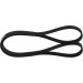Keilrippenriemen | OPEL,HYUNDAI | 1987948348 Keilrippenriemen | OPEL,HYUNDAI | 1987948348
