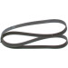 Keilrippenriemen | TOYOTA | 1987947561 Keilrippenriemen | TOYOTA | 1987947561