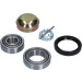 5600003 Radlagersatz