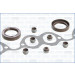 Dichtungssatz, Zylinderkopf | 53004100