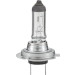 HELLA Glühlampe, Nebelscheinwerfer | 8GH 007 157-121 HELLA Glühlampe, Nebelscheinwerfer | 8GH 007 157-121