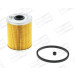 CHAMPION Kraftstofffilter | CFF100255 CHAMPION Kraftstofffilter | CFF100255
