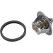Thermostat, Kühlmittel | 3017.92D2