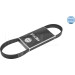 Keilrippenriemen 6Pk845 MEYLE-ORIGINAL: True to OE 500060845