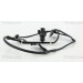 Sensor, Raddrehzahl | 818013604 Sensor, Raddrehzahl | 818013604