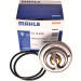 Thermostateinsatz mit Dichtung MERCEDES,SCANIA BEHR TX 18 83D