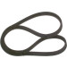Keilrippenriemen | SEAT,VW | 1987946209 Keilrippenriemen | SEAT,VW | 1987946209