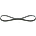 Keilrippenriemen FORD,MAZDA Elastic 1987946125