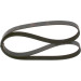 Keilrippenriemen | TOYOTA,FIAT,UAZ,GAZ | 1987947885 Keilrippenriemen | TOYOTA,FIAT,UAZ,GAZ | 1987947885