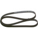 Keilrippenriemen | FIAT,FORD,LANCIA,MAZDA,VOLVO | 1987948343
