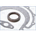 Dichtungsvollsatz, Motor | 51017000 Dichtungsvollsatz, Motor | 51017000