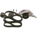 Steuerriemen Kit inkl. Wapu | AUDI A6 | 1987948862 Steuerriemen Kit inkl. Wapu | AUDI A6 | 1987948862