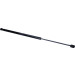 Gasfeder, Hinten L=553 400N | PROTON | 832457