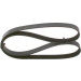 Keilrippenriemen | DACIA,RENAULT,NISSAN,OPEL | 1987947577 Keilrippenriemen | DACIA,RENAULT,NISSAN,OPEL | 1987947577